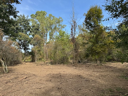 Forestry Mulching vs. Land Clearing: Which Is Best for Your Property Goals?