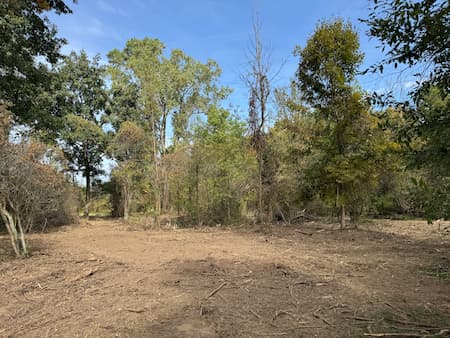 Brush Clearing & Forestry Mulching in Saint Clair, MI