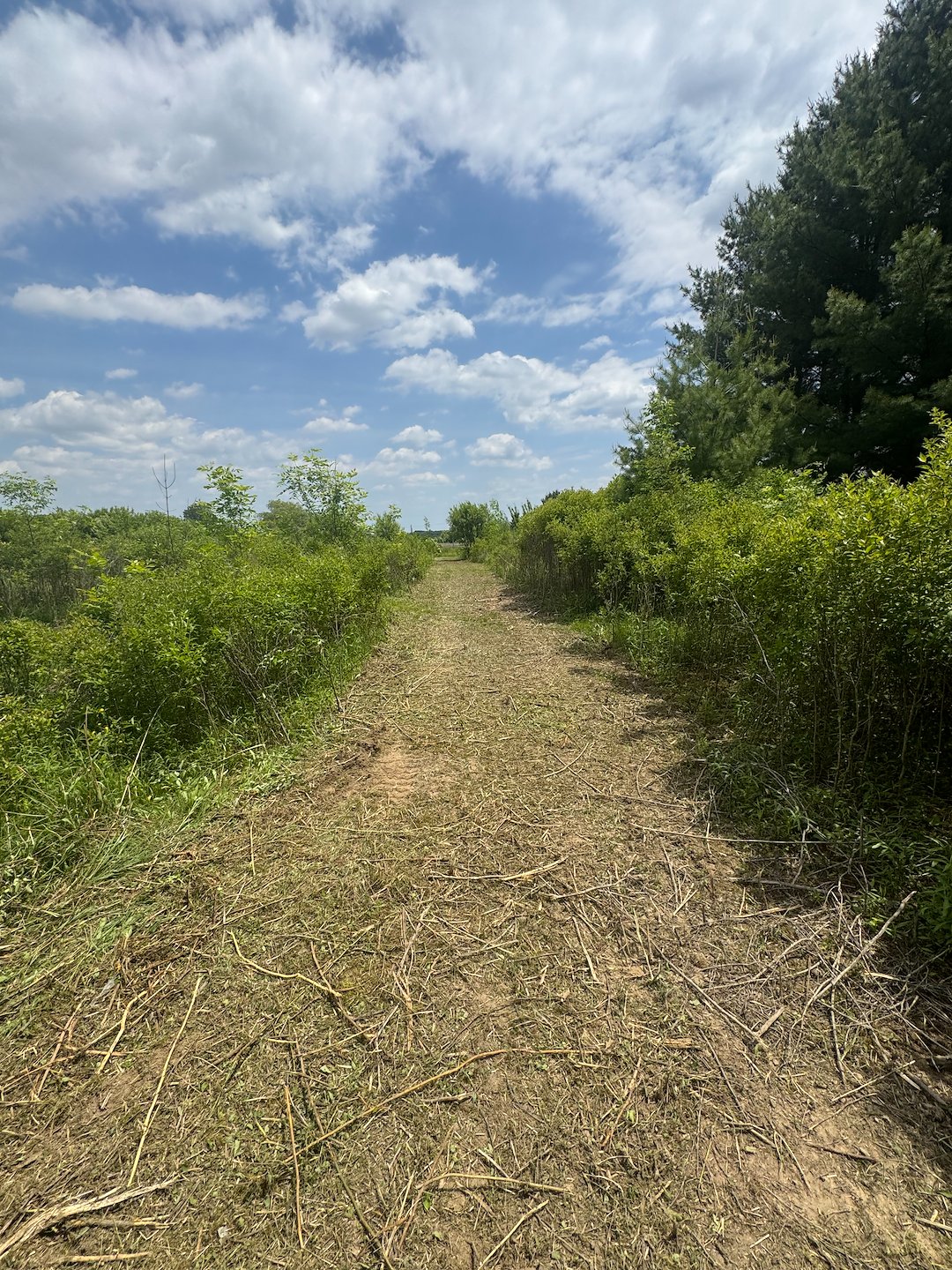 Brush Hogged and Reclaimed this customers property! 