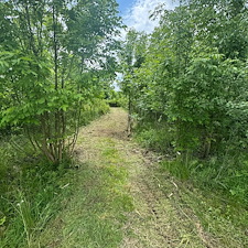 Brush-Hogged-and-Reclaimed-this-customers-property 0