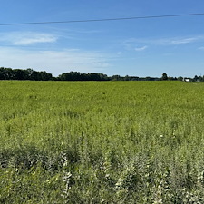 Overgrown Field Mowing in Dryden, MI 1