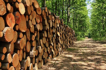 Firewood Sales Thumbnail