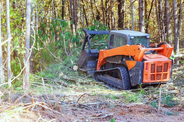 Forestry Mulching