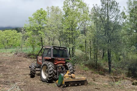 Forestry Mulching Thumbnail