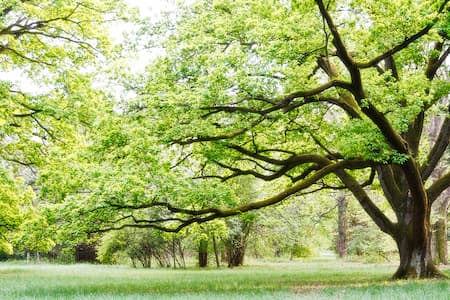 Hinge Cutting Thumbnail