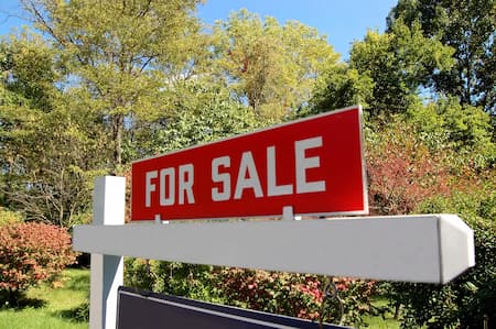 Real Estate Agent & Land Specialist Thumbnail